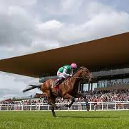 Hébergement de vacances 3 Bed House In Sleeps 9 Kildare